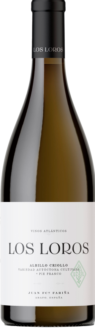 Los Loros Albillo Criollo
