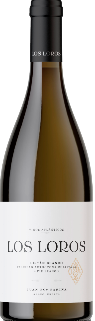Los Loros Listán Blanco